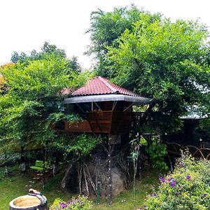 Treehouse Tabor Hills Resort Vagamon